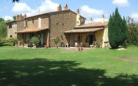 Poggio Dell'Olivo
